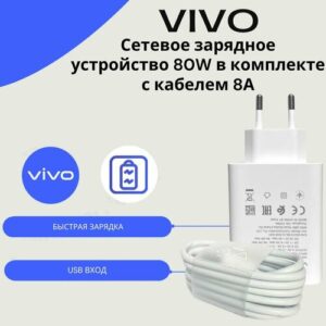 Сетевое зарядное устройство для Vivo 80W с USB входом в комплекте с кабелем Vivo USB Type-C 8A
