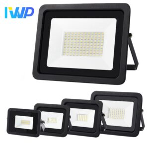 Светодиодный прожектор IWP AC220V 10-100Вт